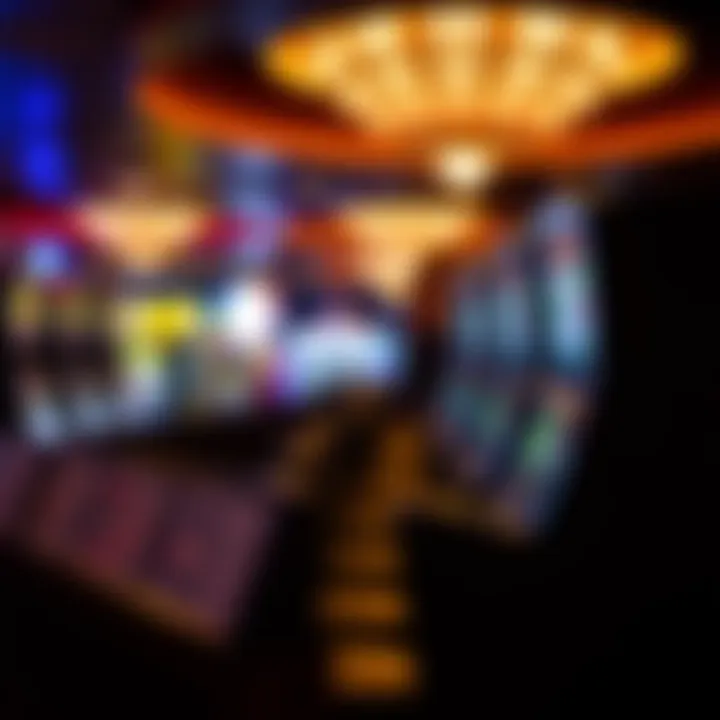 Diverse gaming license types in Florida